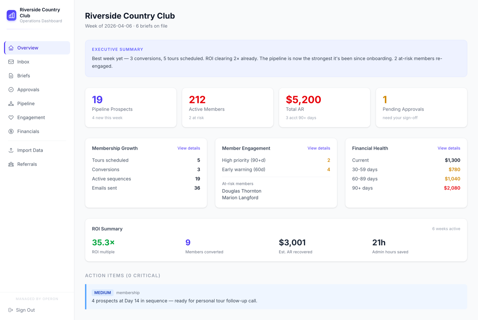 Dashboard overview showing executive summary, KPIs, and action items